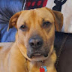 Meet your Posher, Ryleigh